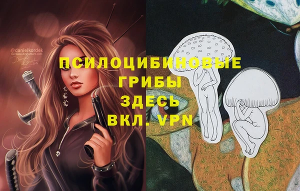 прущий лед Абаза