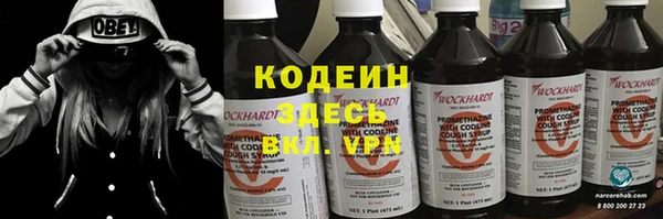 прущие грибы Покров