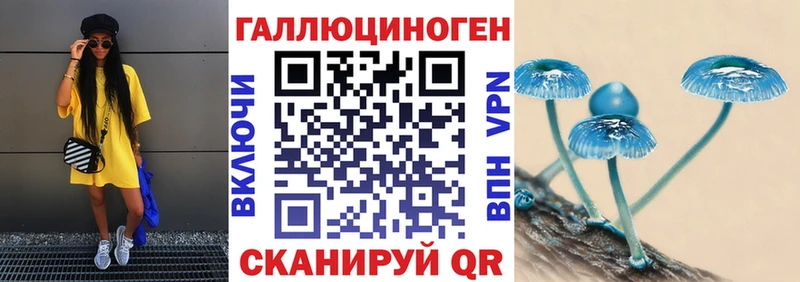 МЕГА ССЫЛКА  что такое наркотик  Болохово  Галлюциногенные грибы мицелий 